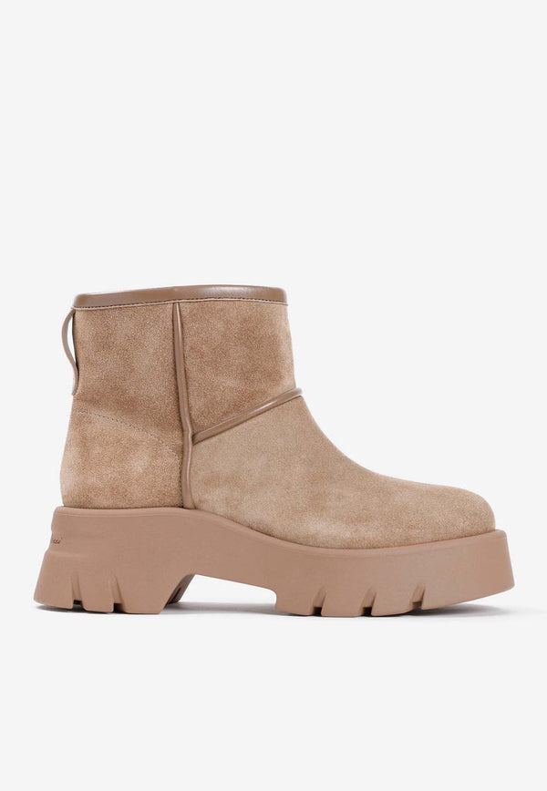 Stormy Suede Ankle Boots
