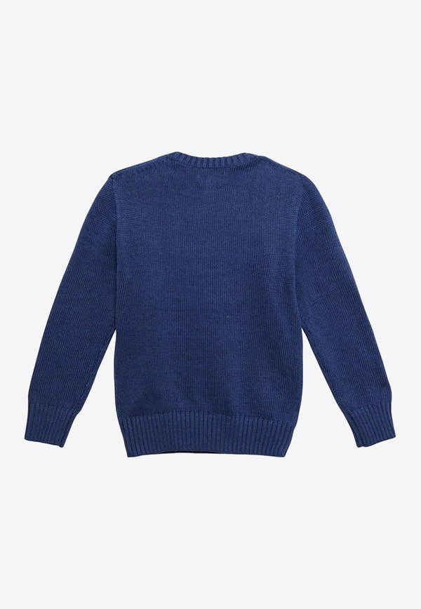 Boys Polo Bear Intarsia Knit Sweater