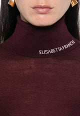 Turtleneck Semi-Sheer Sweater