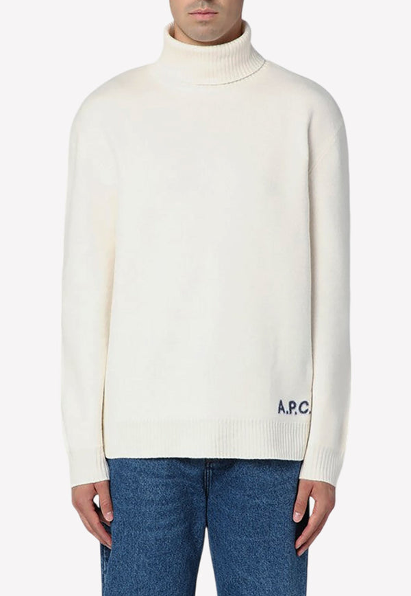 Walter Wool Turtleneck Sweater